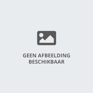 stormbaan kasteelrun huren